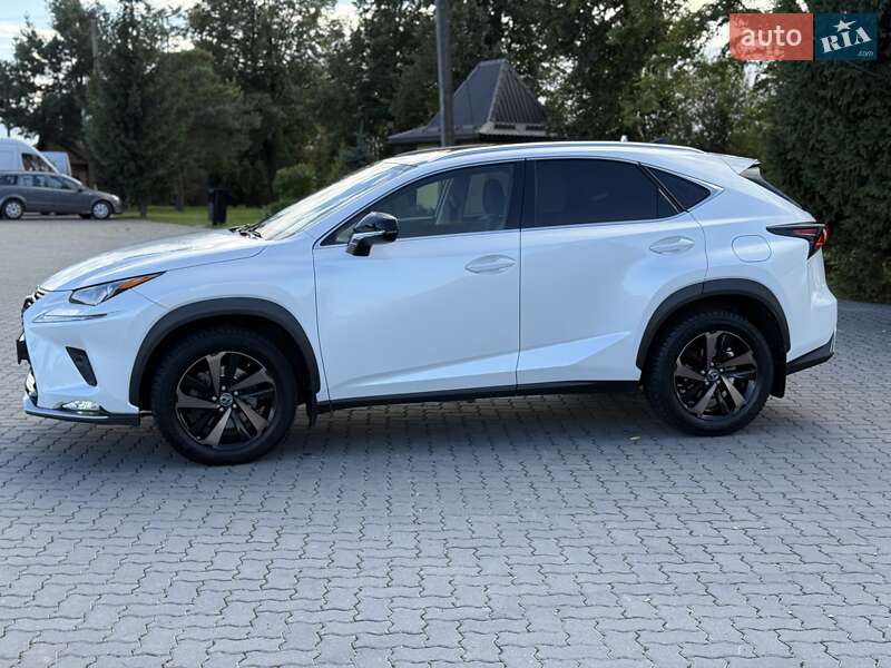 Позашляховик / Кросовер Lexus NX 2020 в Івано-Франківську