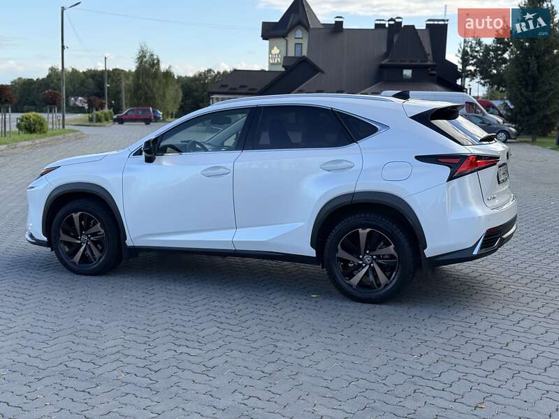 Позашляховик / Кросовер Lexus NX 2020 в Івано-Франківську