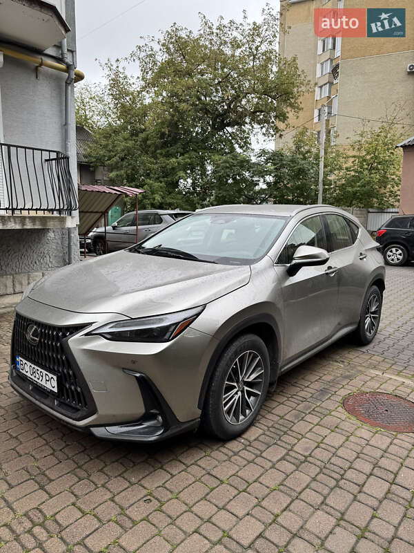 Позашляховик / Кросовер Lexus NX 2022 в 