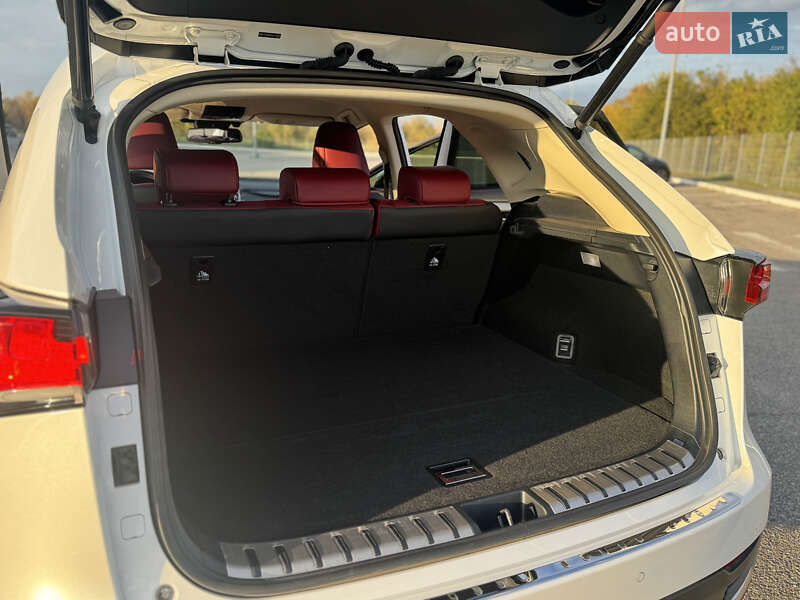 Позашляховик / Кросовер Lexus NX 2021 в Дніпрі фото 28 Позашляховик / Кросовер Lexus NX 2021 в Дніпрі