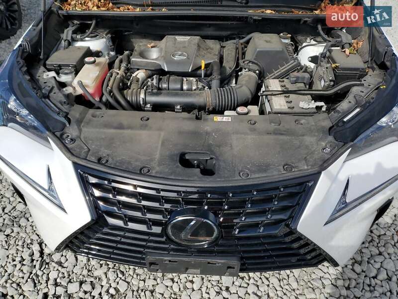 Позашляховик / Кросовер Lexus NX 2019 в Львові фото 12 Позашляховик / Кросовер Lexus NX 2019 в Львові