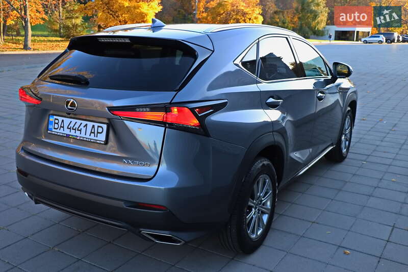 Позашляховик / Кросовер Lexus NX 2020 в Кременчуці фото 6 Позашляховик / Кросовер Lexus NX 2020 в Кременчуці