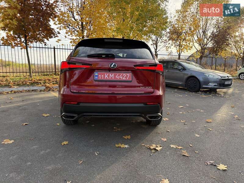 Позашляховик / Кросовер Lexus NX 2020 в Києві