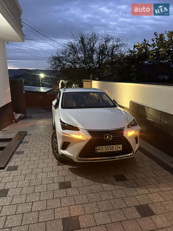 Позашляховик / Кросовер Lexus NX 2021 в Тячеві фото 20 Позашляховик / Кросовер Lexus NX 2021 в Тячеві