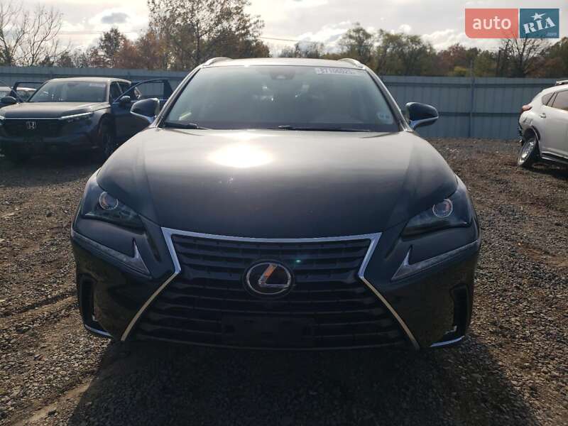 Внедорожник / Кроссовер Lexus NX 2020 в Киеве фото 5 Внедорожник / Кроссовер Lexus NX 2020 в Киеве