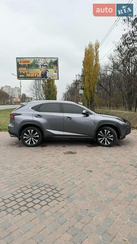 Позашляховик / Кросовер Lexus NX 2020 в Павлограді фото 11 Позашляховик / Кросовер Lexus NX 2020 в Павлограді