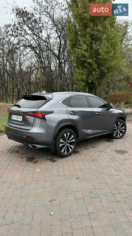Позашляховик / Кросовер Lexus NX 2020 в Павлограді фото 12 Позашляховик / Кросовер Lexus NX 2020 в Павлограді
