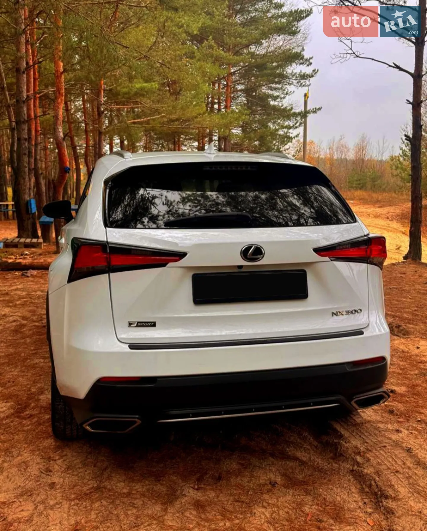 2018 Lexus NX - мініатюра 5