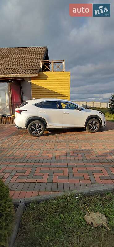 Позашляховик / Кросовер Lexus NX 2021 в Кривому Розі