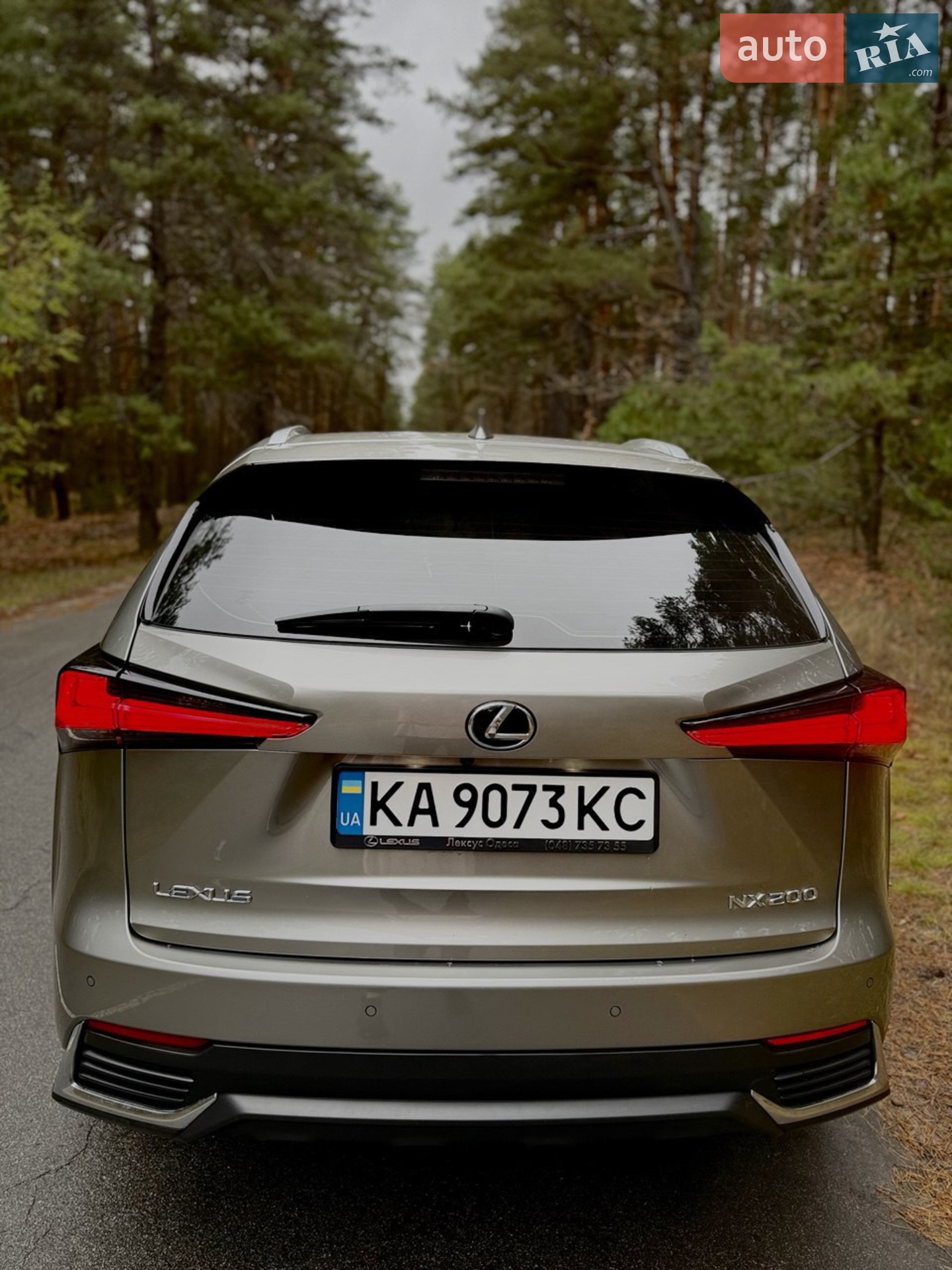2020 Lexus NX - мініатюра 5