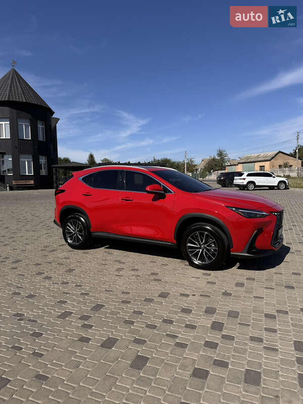 Внедорожник / Кроссовер Lexus NX 2023 в Белой Церкви фото 5 Внедорожник / Кроссовер Lexus NX 2023 в Белой Церкви