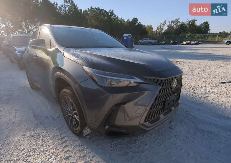 Позашляховик / Кросовер Lexus NX 2022 в Ізмаїлі