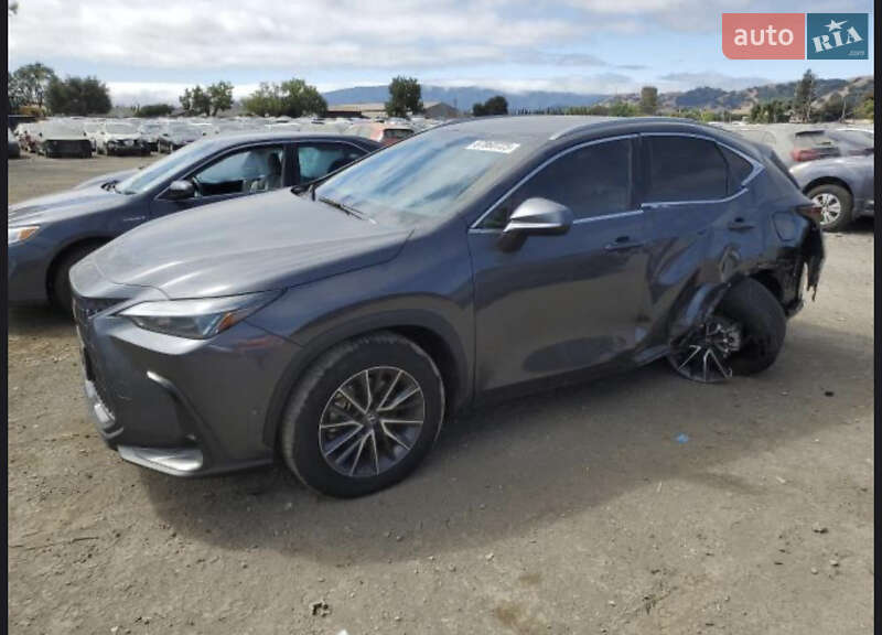 Позашляховик / Кросовер Lexus NX 2022 в Ізмаїлі