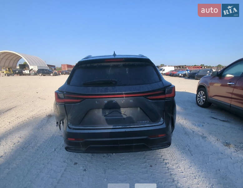 Позашляховик / Кросовер Lexus NX 2022 в Ізмаїлі