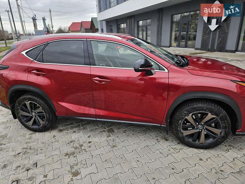 Позашляховик / Кросовер Lexus NX 2020 в Ужгороді