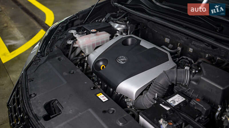 Внедорожник / Кроссовер Lexus NX 2020 в Днепре фото 20 Внедорожник / Кроссовер Lexus NX 2020 в Днепре