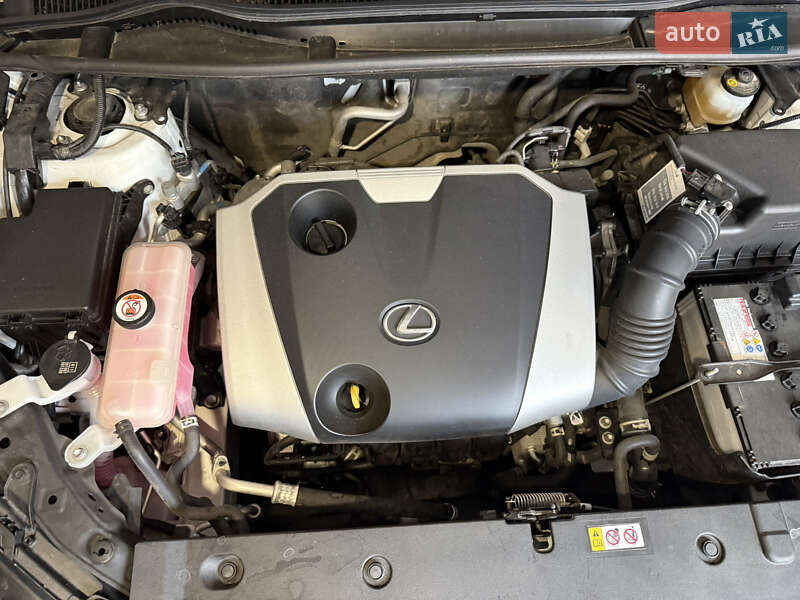 Внедорожник / Кроссовер Lexus NX 2020 в Ирпене фото 6 Внедорожник / Кроссовер Lexus NX 2020 в Ирпене