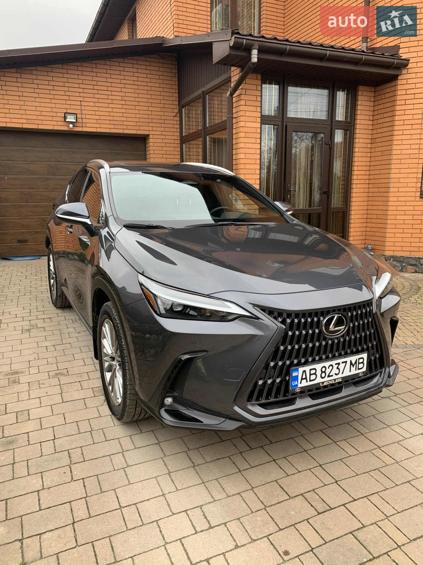 2022 Lexus NX - мініатюра 2