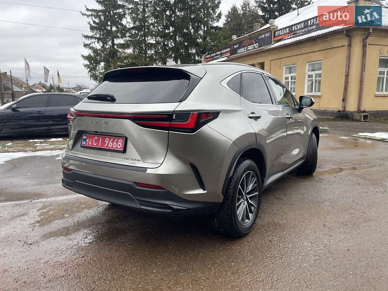Внедорожник / Кроссовер Lexus NX 2023 в Самборе фото 6 Внедорожник / Кроссовер Lexus NX 2023 в Самборе