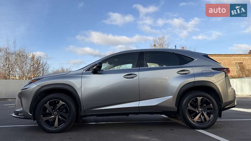 Внедорожник / Кроссовер Lexus NX 2021 в Киеве фото 8 Внедорожник / Кроссовер Lexus NX 2021 в Киеве