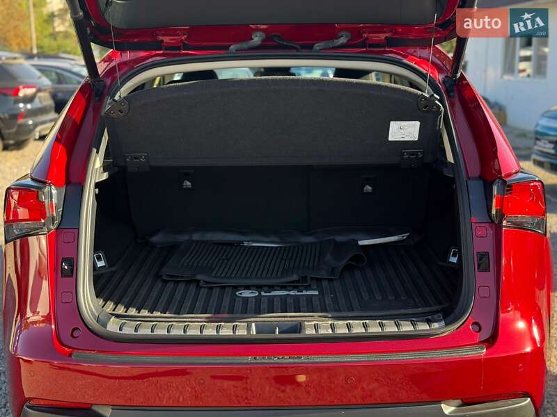 Внедорожник / Кроссовер Lexus NX 2021 в Одессе фото 37 Внедорожник / Кроссовер Lexus NX 2021 в Одессе