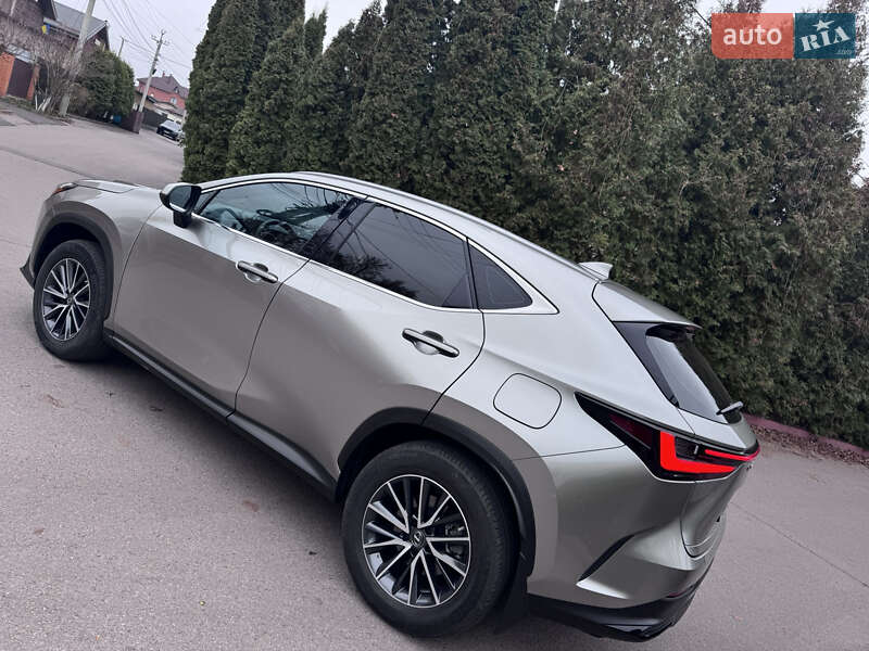 Внедорожник / Кроссовер Lexus NX 2022 в Киеве фото 19 Внедорожник / Кроссовер Lexus NX 2022 в Киеве