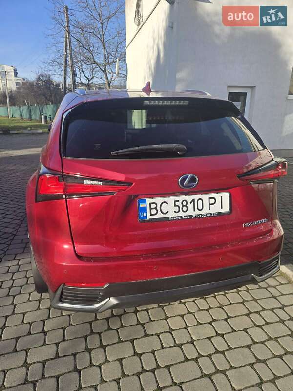 Внедорожник / Кроссовер Lexus NX 2020 в Львове фото 16 Внедорожник / Кроссовер Lexus NX 2020 в Львове
