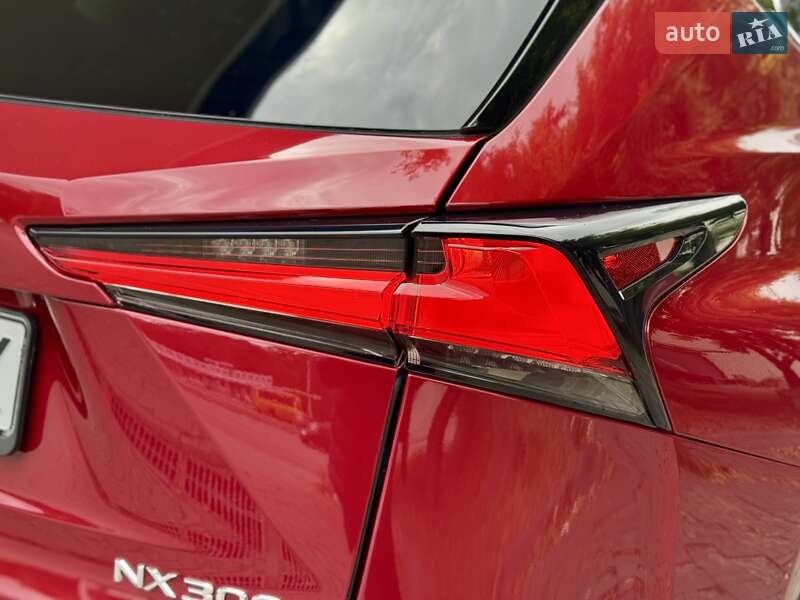 Внедорожник / Кроссовер Lexus NX 2018 в Днепре фото 13 Внедорожник / Кроссовер Lexus NX 2018 в Днепре