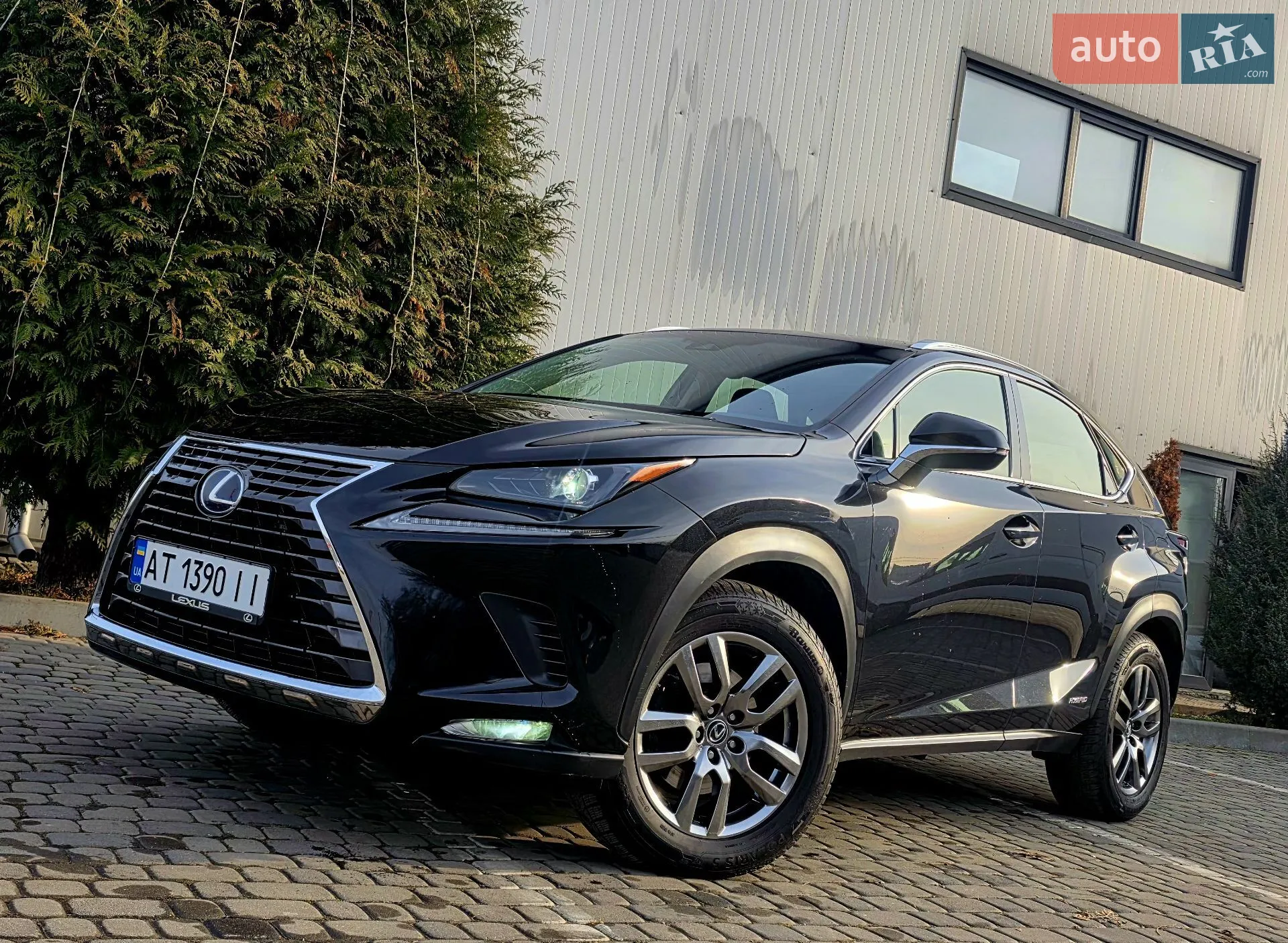 2018 Lexus NX - мініатюра 2