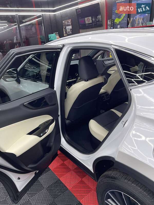 Внедорожник / Кроссовер Lexus NX 2024 в Кривом Роге