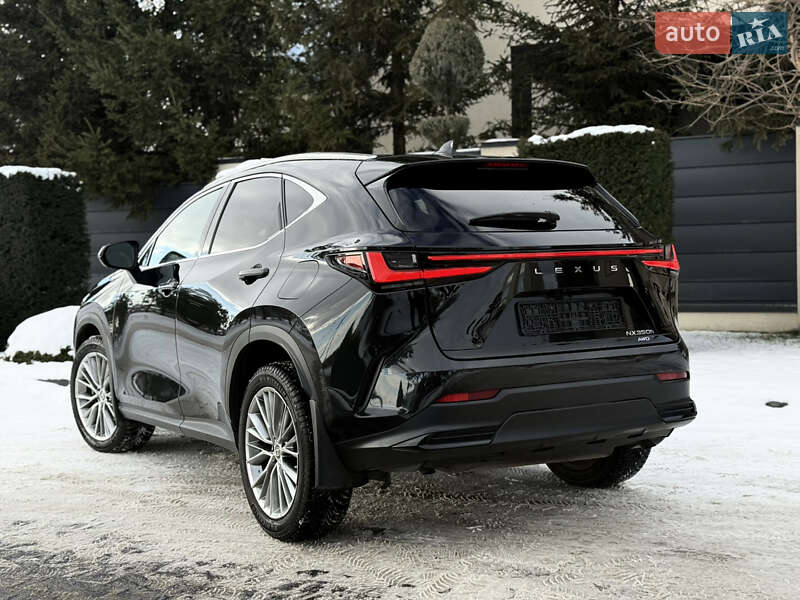 Внедорожник / Кроссовер Lexus NX 2022 в Львове фото 22 Внедорожник / Кроссовер Lexus NX 2022 в Львове