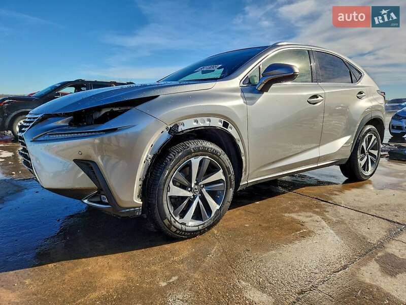 Lexus NX 2019 Lexus NX 2019
