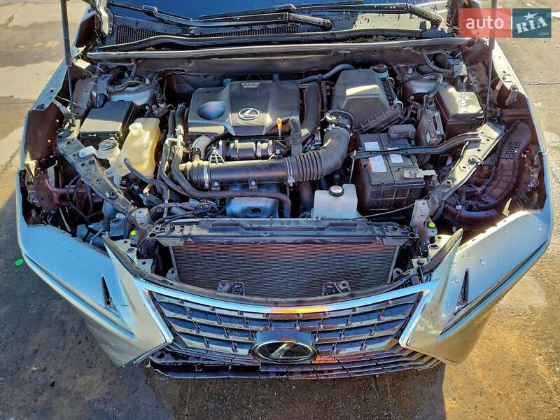 Внедорожник / Кроссовер Lexus NX 2019 в Львове фото 12 Внедорожник / Кроссовер Lexus NX 2019 в Львове