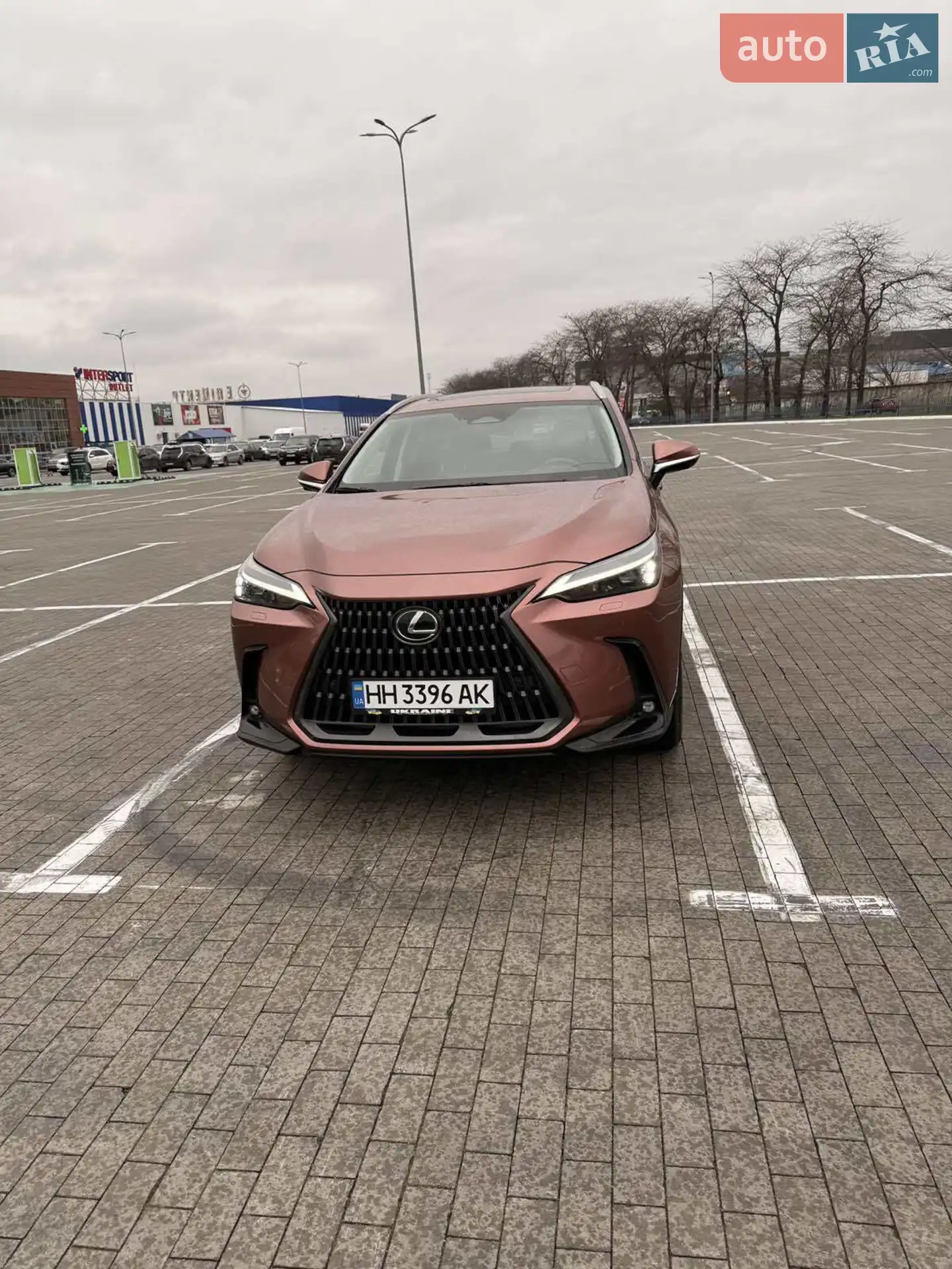 2024 Lexus NX - мініатюра 6