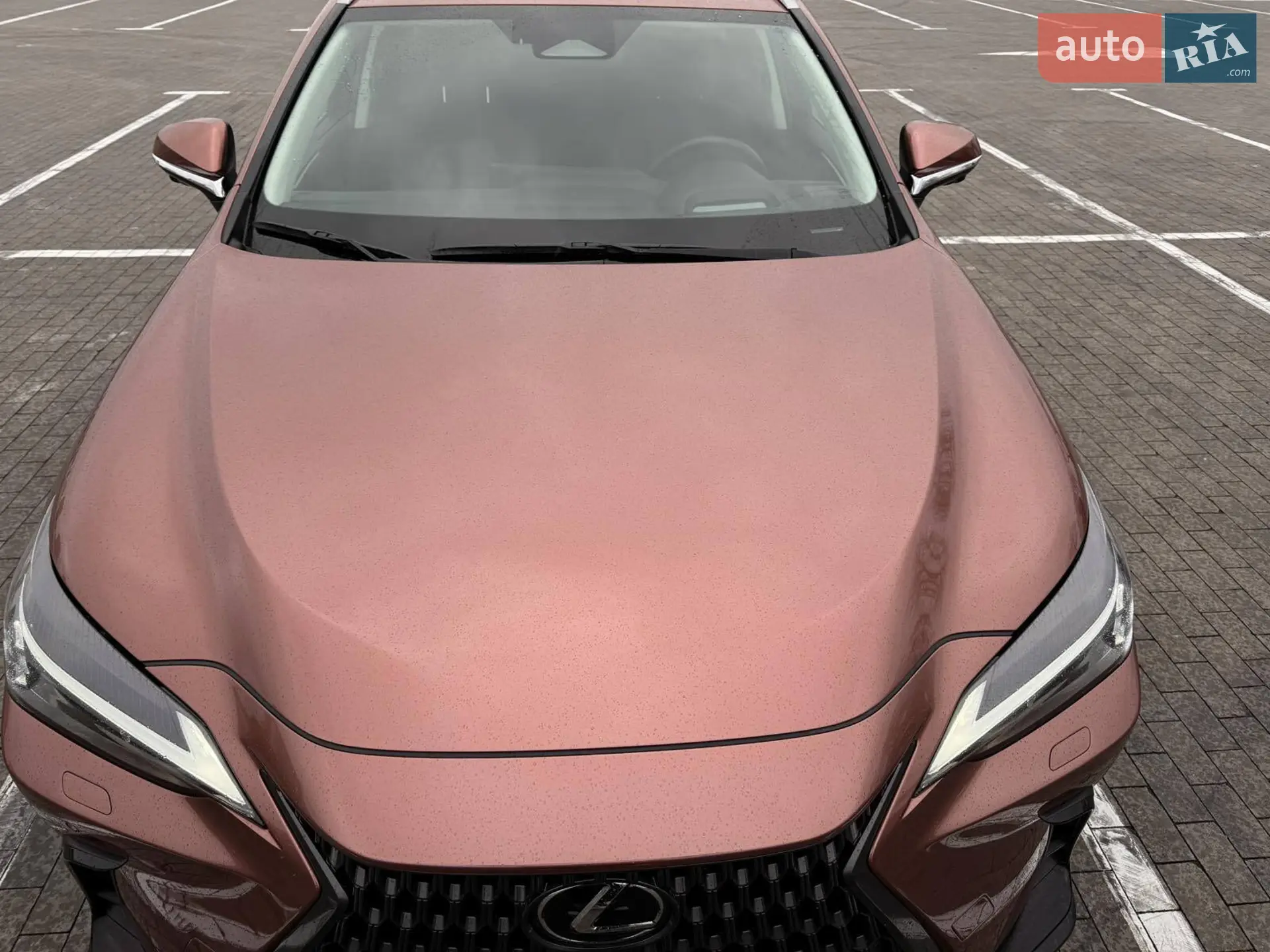 2024 Lexus NX - мініатюра 8