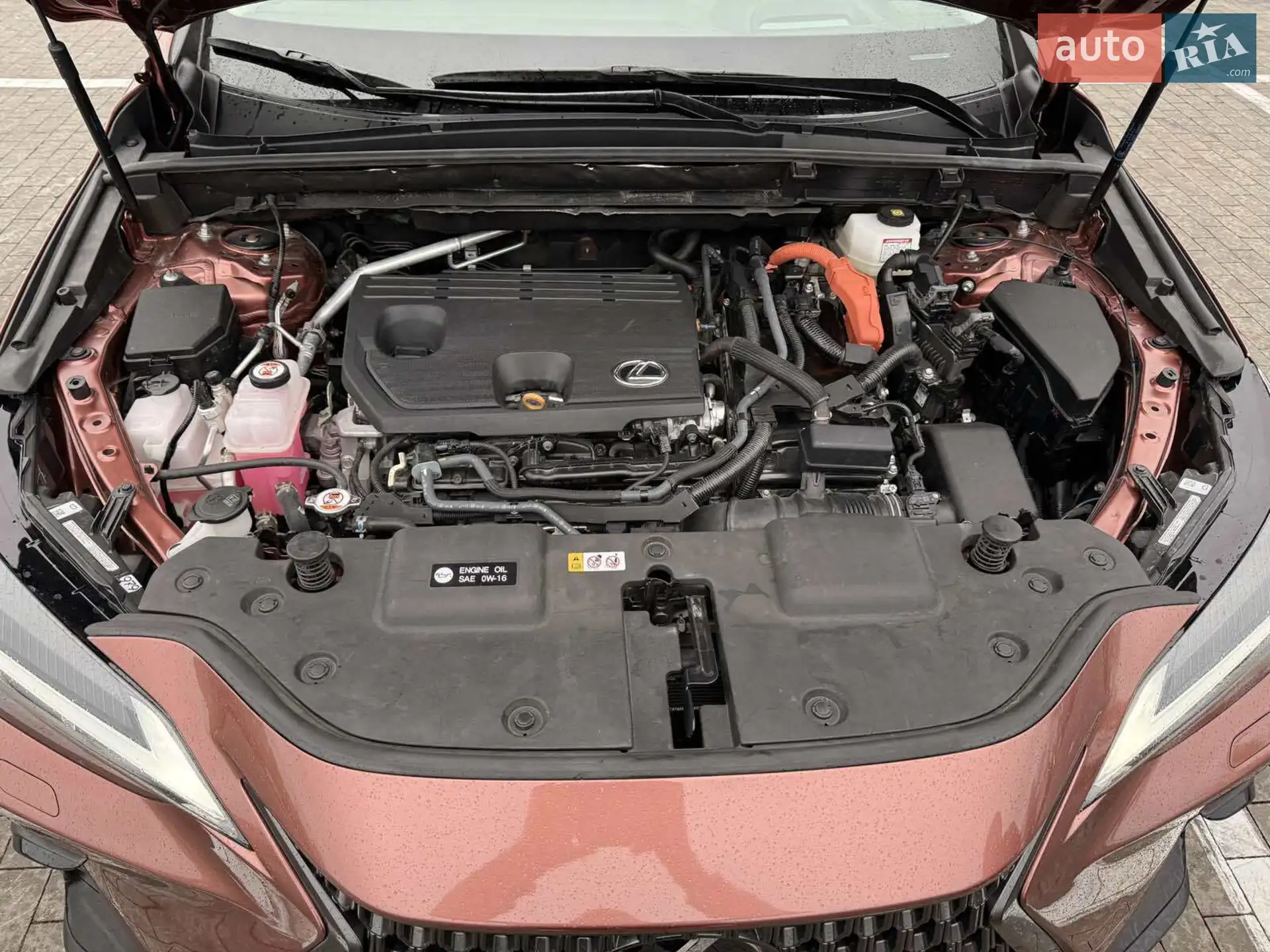2024 Lexus NX - мініатюра 19