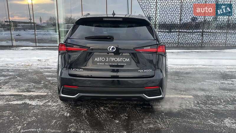 Внедорожник / Кроссовер Lexus NX 2020 в Киеве фото 4 Внедорожник / Кроссовер Lexus NX 2020 в Киеве