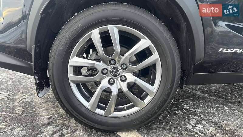 Внедорожник / Кроссовер Lexus NX 2020 в Киеве фото 12 Внедорожник / Кроссовер Lexus NX 2020 в Киеве