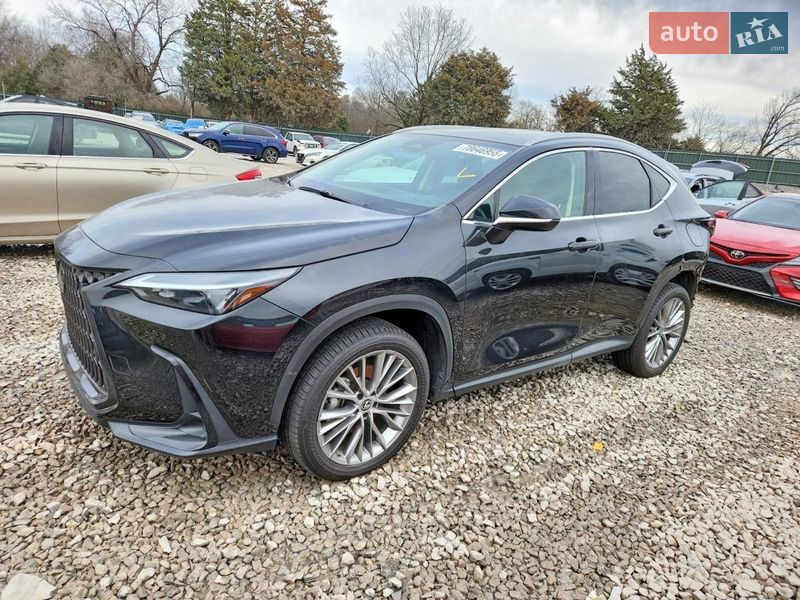 Lexus NX 2022