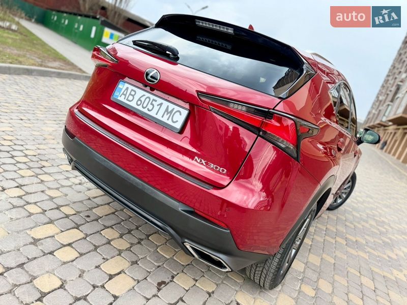 Внедорожник / Кроссовер Lexus NX 2019 в Виннице фото 20 Внедорожник / Кроссовер Lexus NX 2019 в Виннице