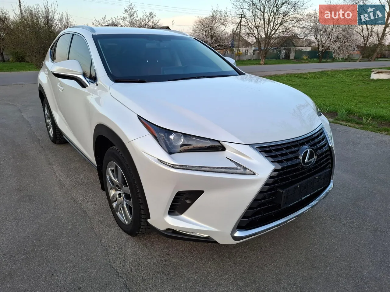 2020 Lexus NX - мініатюра 20