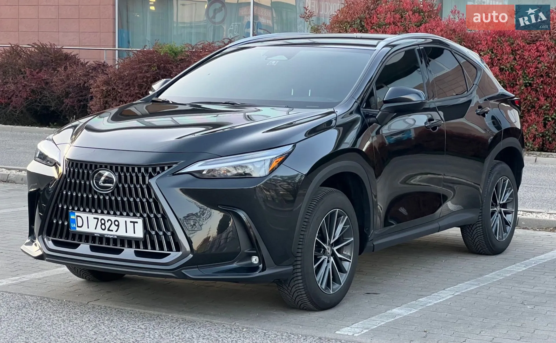 2023 Lexus NX - мініатюра 16