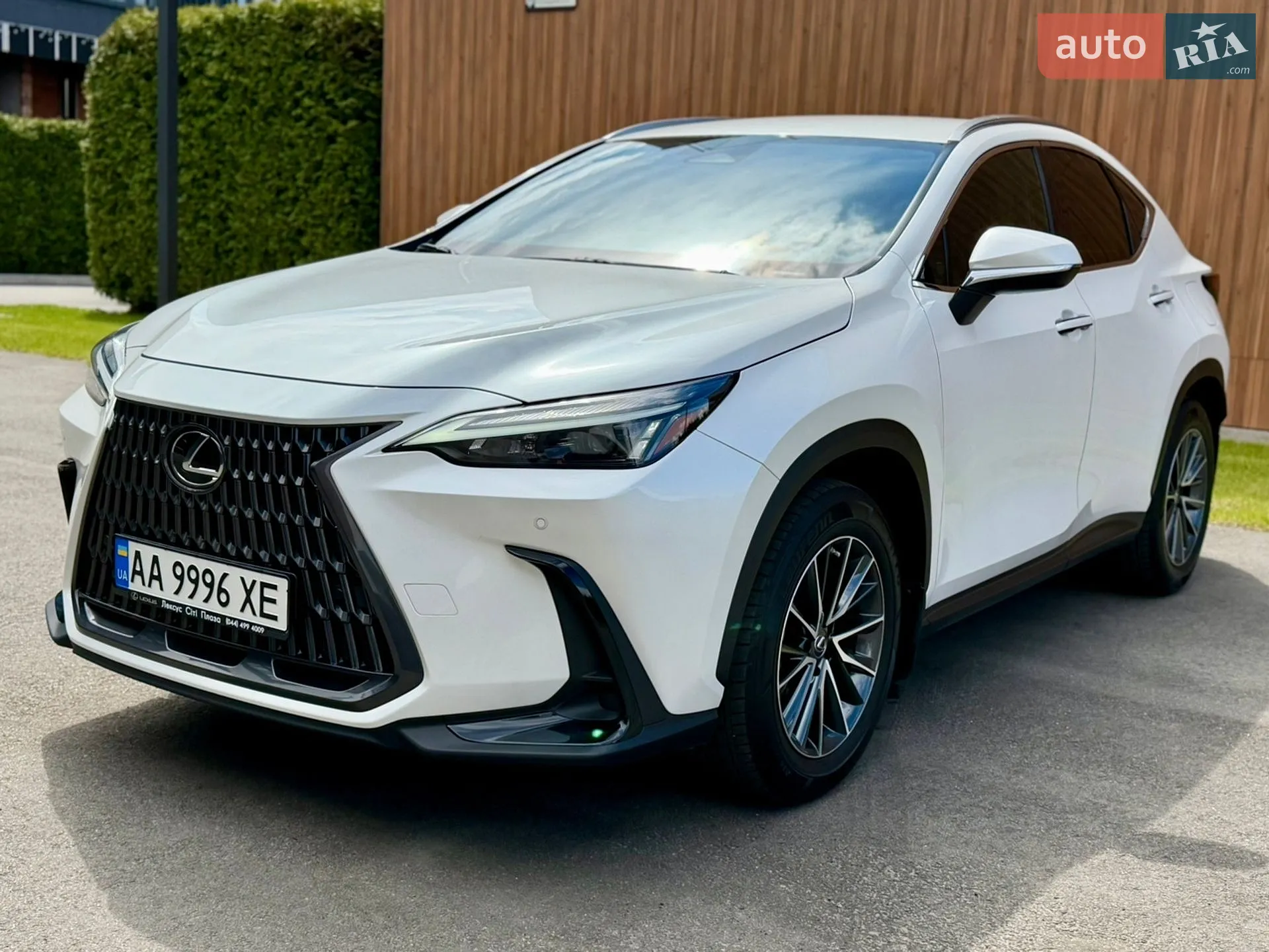 2022 Lexus NX - мініатюра 6