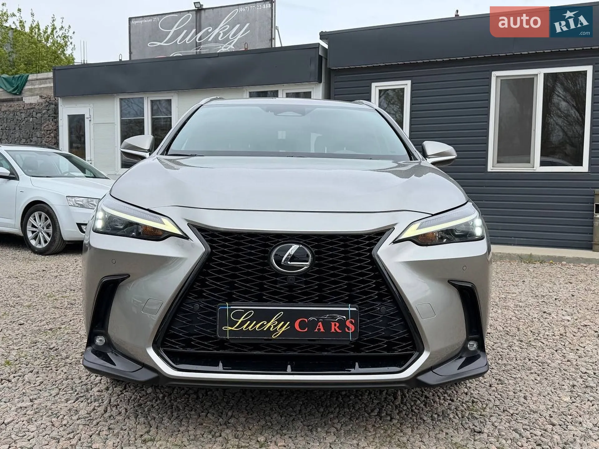 2021 Lexus NX - мініатюра 2