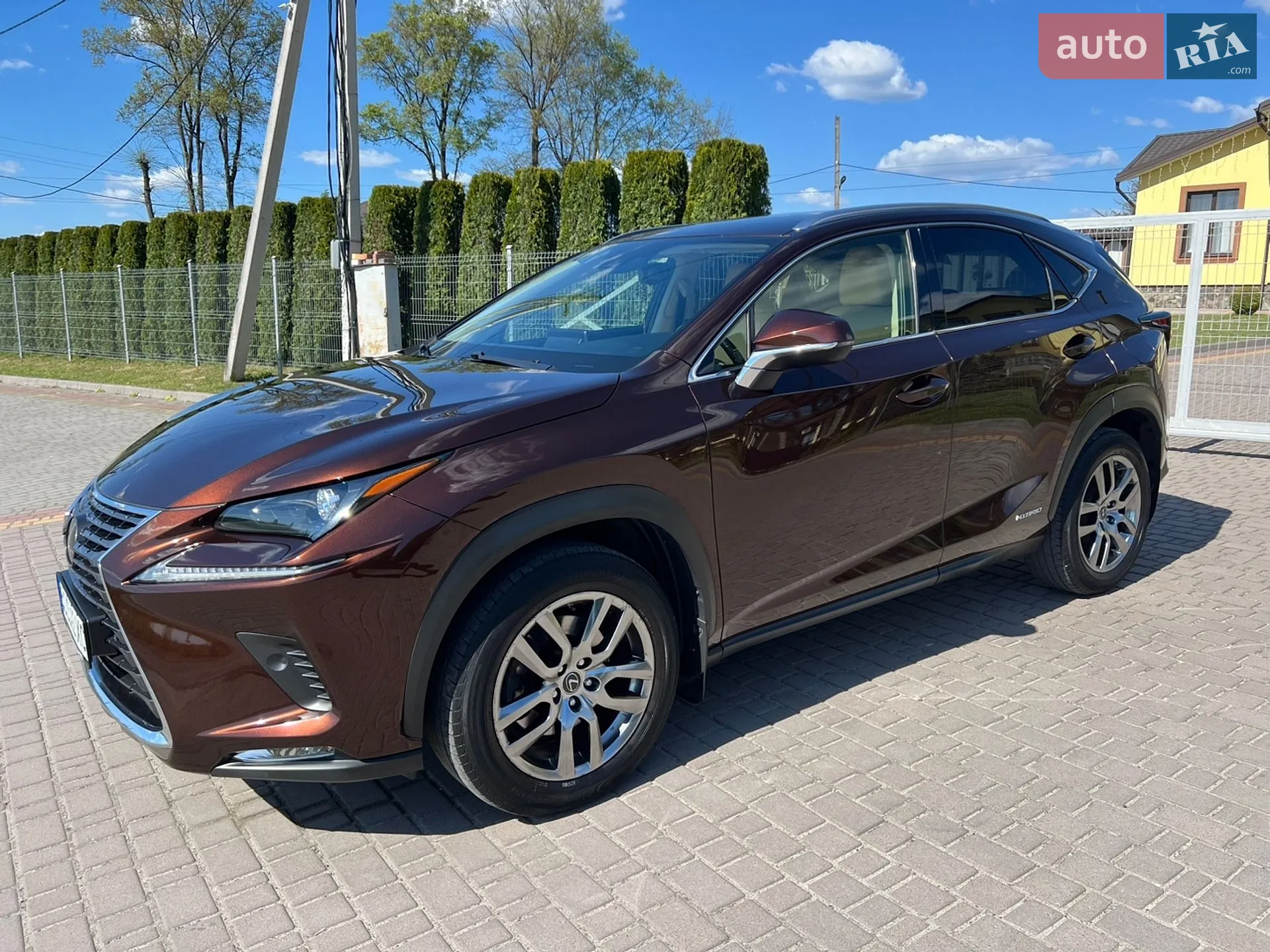 2019 Lexus NX - мініатюра 15