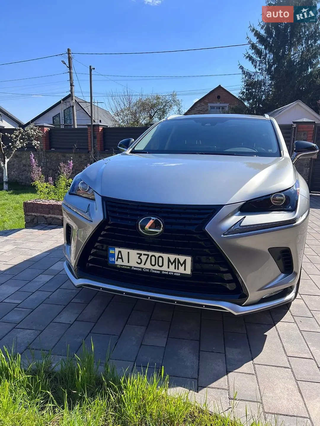 2021 Lexus NX - мініатюра 5