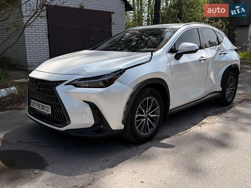 2024 Lexus NX, VIN JTJCLBEZ002037221:plate — фото 1 (autoria)