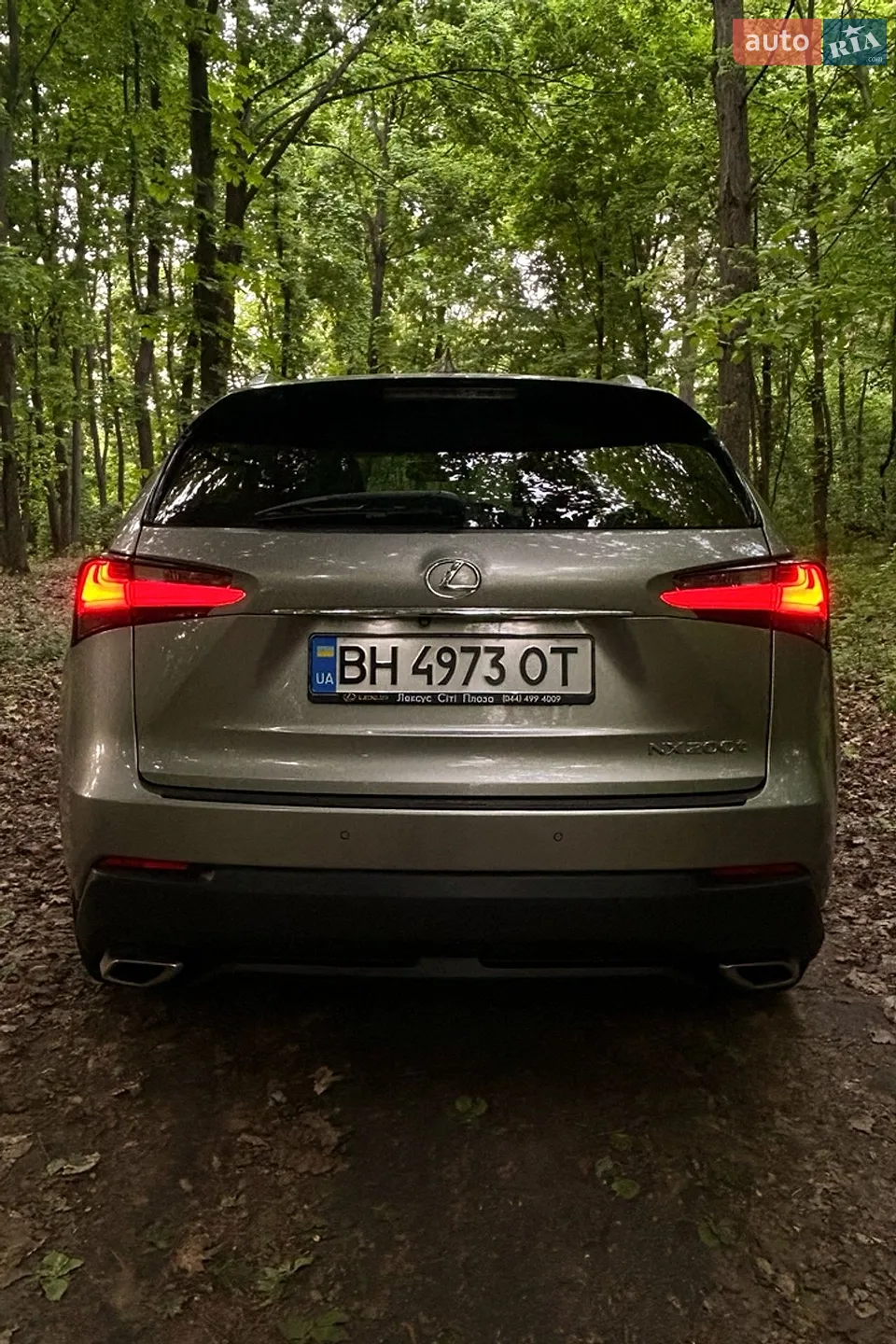 2014 Lexus NX - мініатюра 6