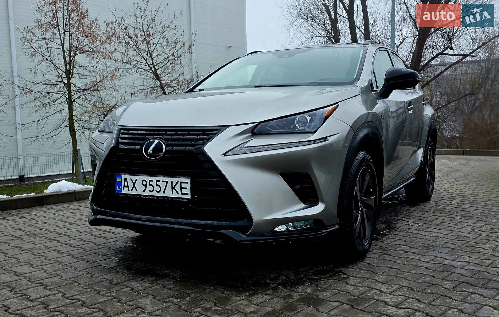 2021 Lexus NX - мініатюра 16
