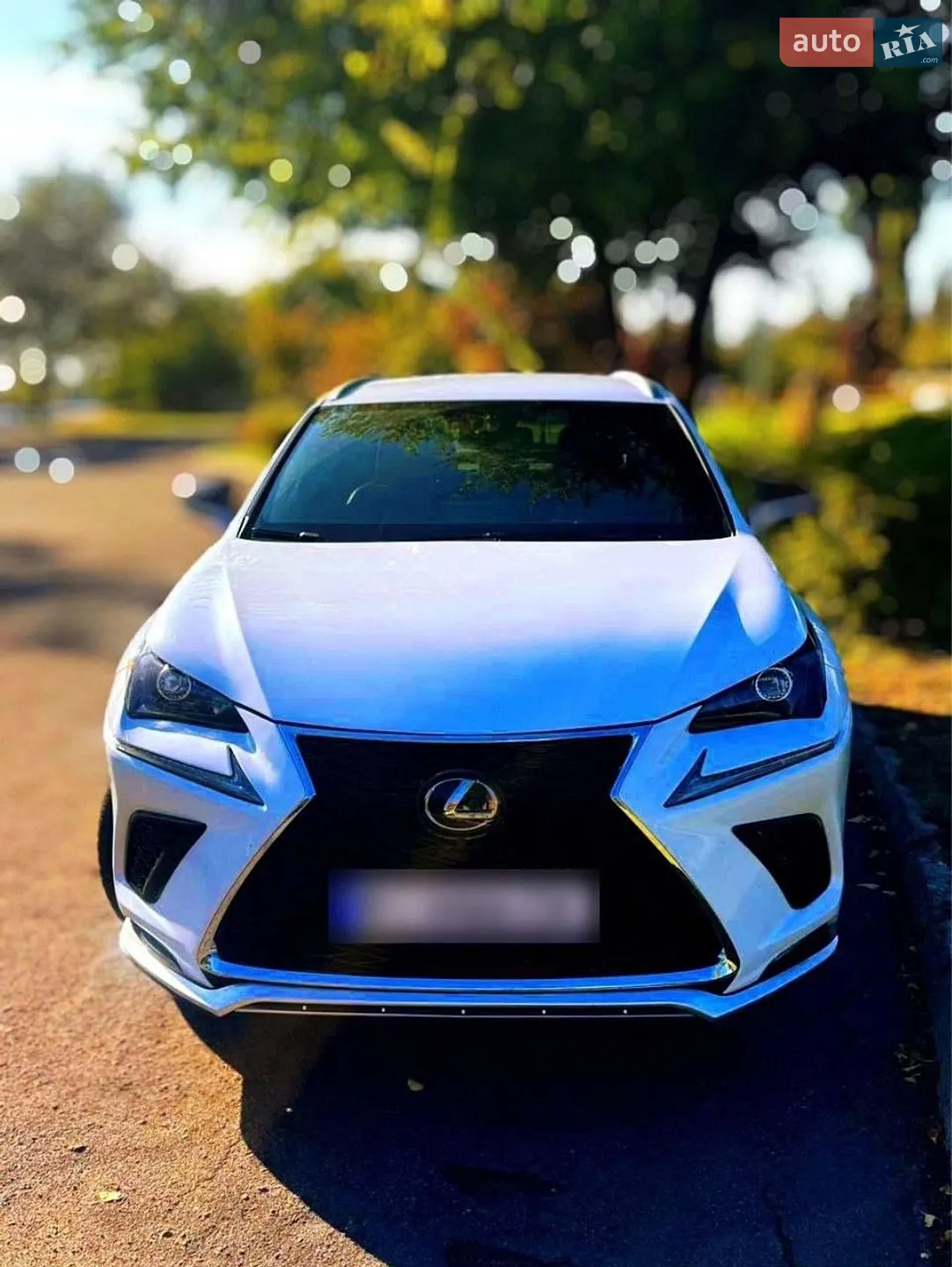 Lexus NX 2018 VIN JTJYARBZ8K2126157 фото оголошення 12 з 15